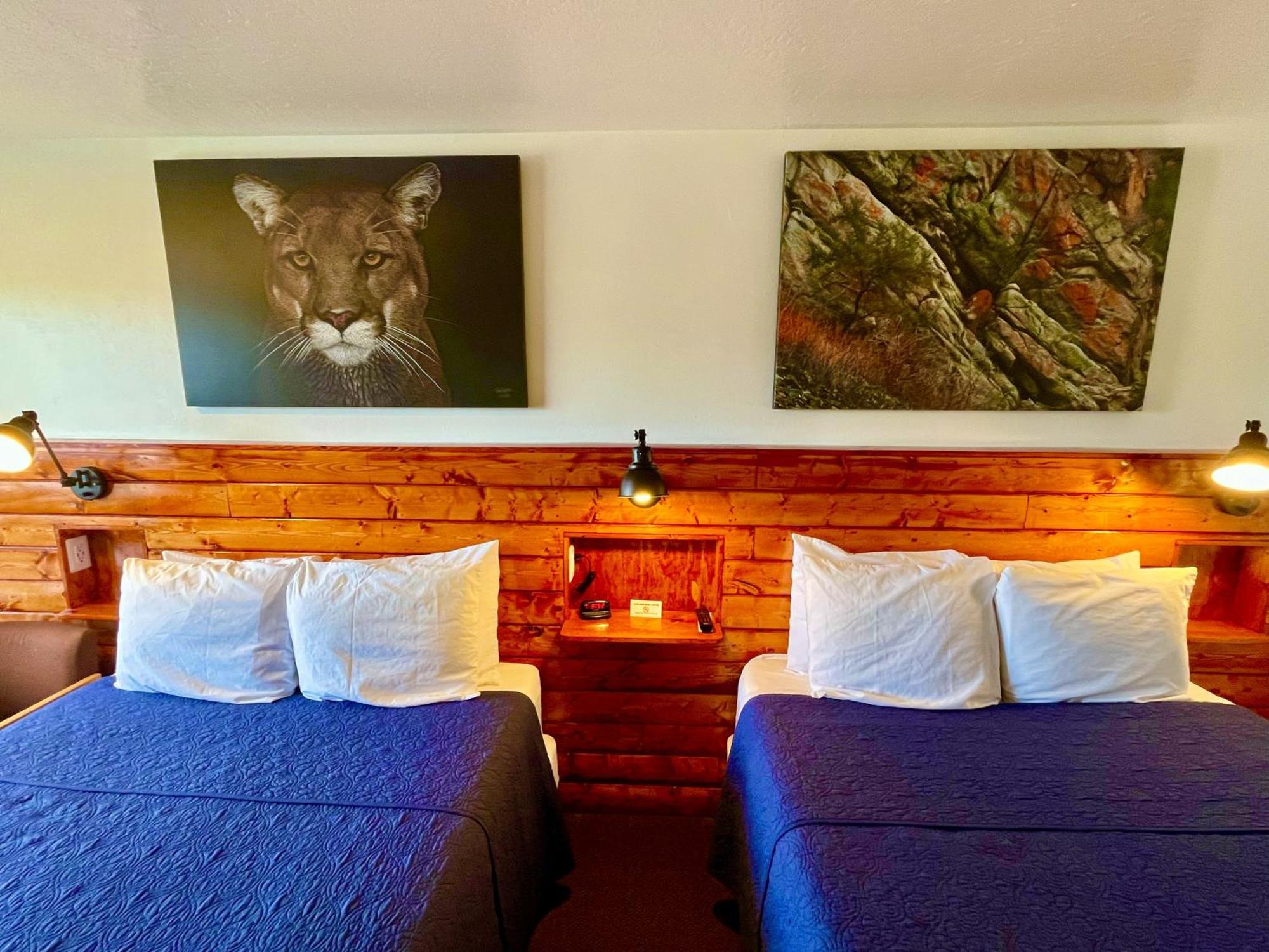 Red Bear Inn Ennis 外观 照片