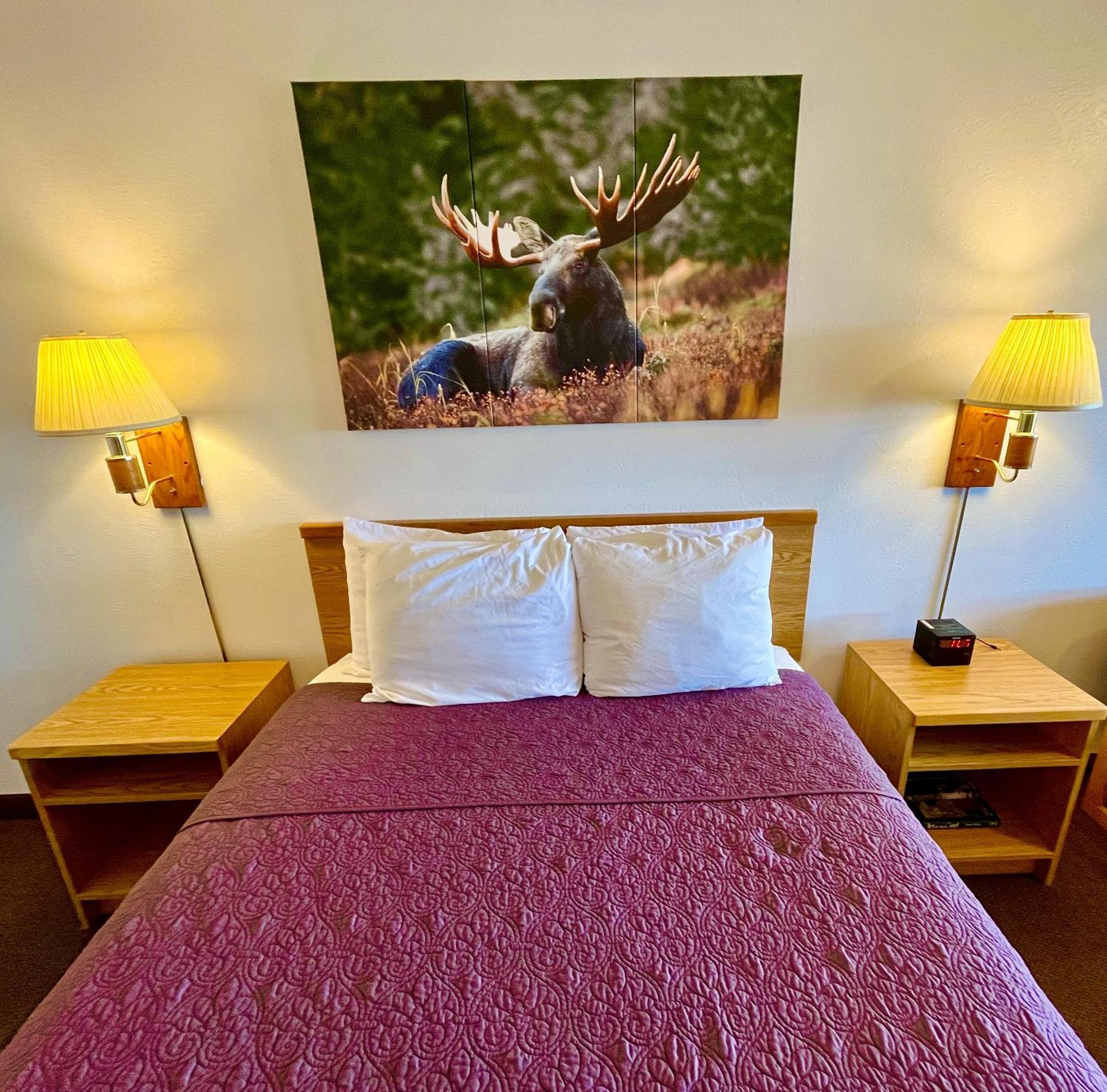 Red Bear Inn Ennis 外观 照片