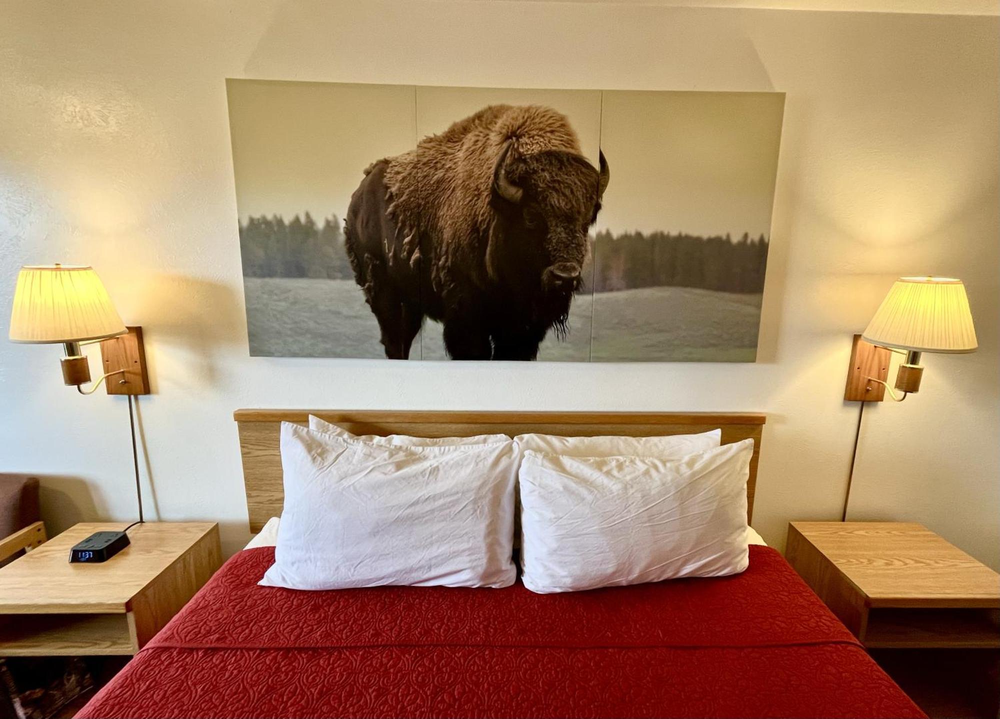 Red Bear Inn Ennis 外观 照片